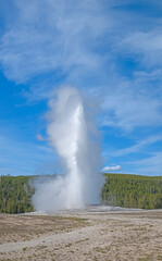 Old Faithful Erupting on an Early Spring Day