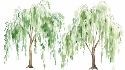 watercolor foliage willow pattern