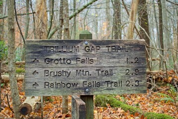 Wooden Sign with Hiking Trails