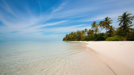 A serene tropical beach scene with crystal clear waters and lush palm trees under a bright blue sky.