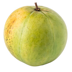 elephant apple fruit isolated in white background