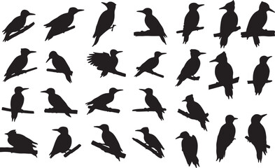 Woodpecker Silhouette Collection for Nature and Artistic Projects