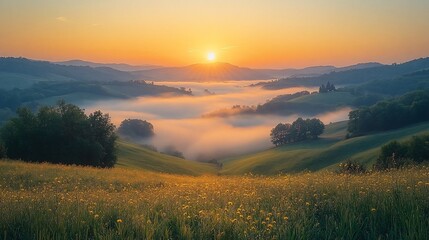 Fototapeta premium Sunrise over rolling hills and misty valleys with wildflowers