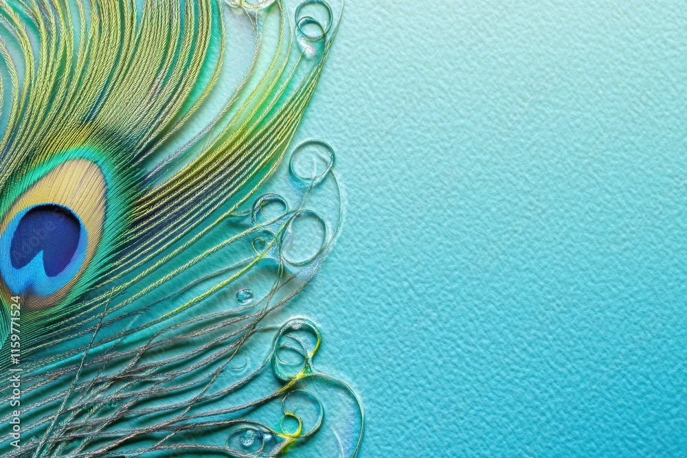 Aufkleber close up view of a peacock feather with dew drops showcasing vibrant colors and texture for a mockup