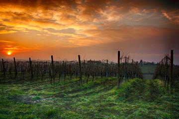 Obraz premium Tramonto sui Colli Tortonesi - Alessandria - Piemonte - Italia