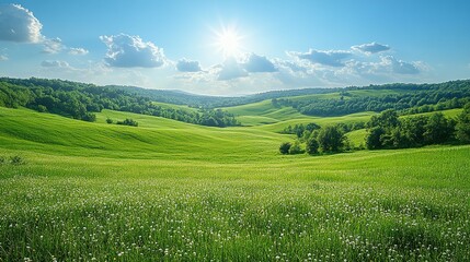Obraz premium Sunlit Green Rolling Hills Landscape With Wildflowers