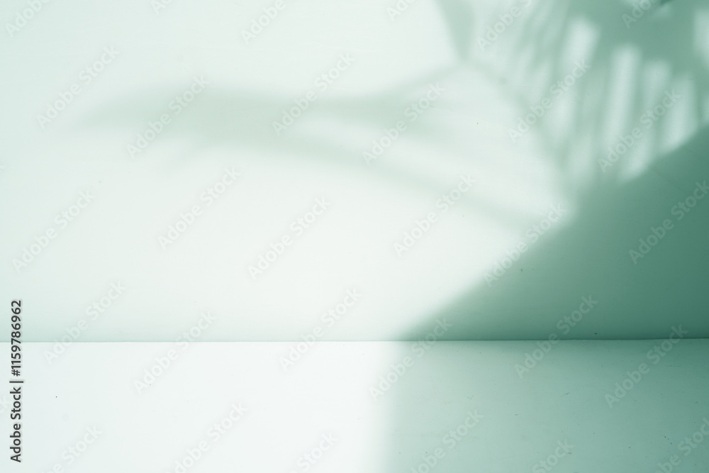 Poster white empty studio room with palm leaf shadow