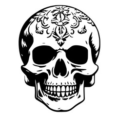 Minimal Human Skull Vector Design