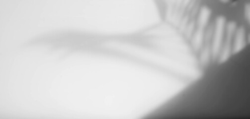 natural window shadow