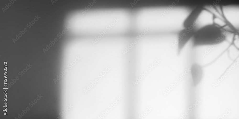 Poster minimalist window shadow with leaf
