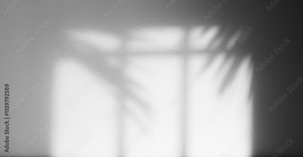 Poster window and palm shadow