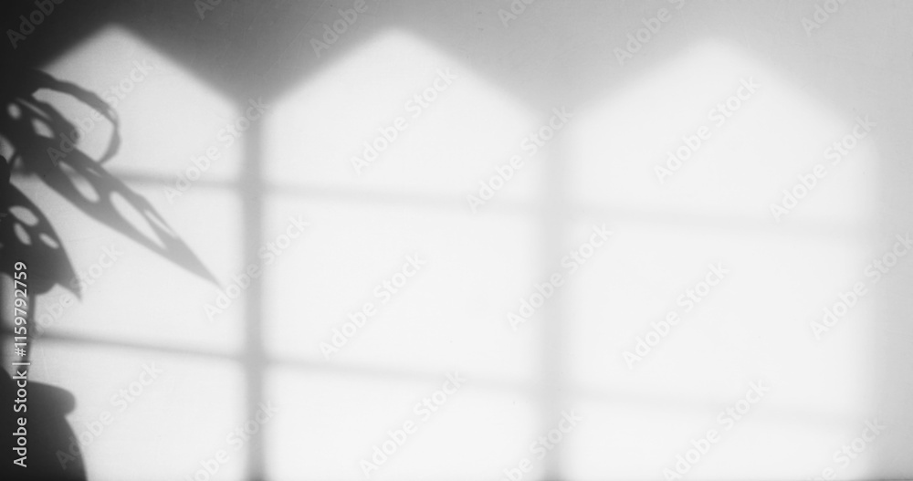 Poster window and leaf shadow overlay
