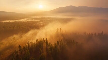 Obraz premium Scenic Aerial View of Forest and Mountains at Sunset