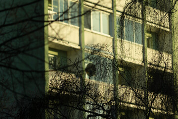 A beautiful building facade that is partially concealed by tree branches and shadows, expertly...