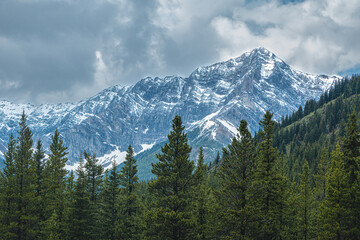 The majestic Canadian Rocky Mountains with jagged, ice-capped peaks, evergreen trees, and beautiful grey and white clouds. A photograph taken near Banff National Park, Alberta, Canada.
