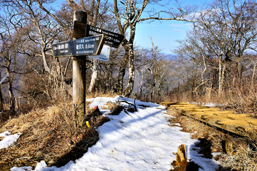 丹沢の檜洞丸　石棚山稜とつつじ新道が交わる場所
