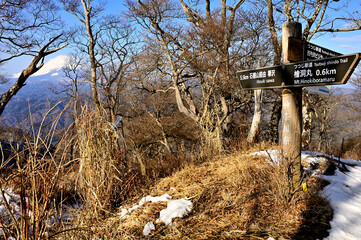 丹沢の檜洞丸　石棚山稜とつつじ新道が交わる分岐より望む富士山
