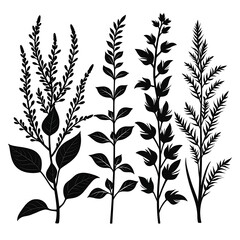 Naklejka premium silhouette vector herb plant set on white background