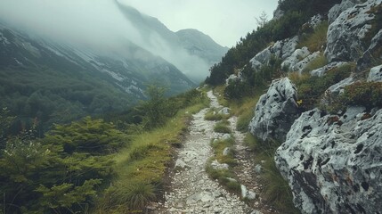 Hiking trail in the mountains, adventure and nature