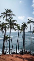 The south coast of Sri Lanka