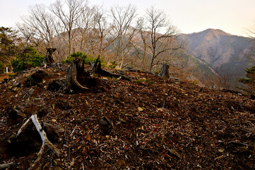 丹沢の秋葉山山頂より　朝焼けの道志山塊　水喰ノ頭と菜畑山
