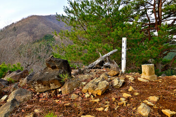 丹沢の秋葉山山頂　頂の三角点に鳥ノ胸山を望む

