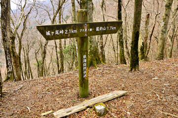 丹沢の甲相国境尾根　ブナ沢ノ頭山頂
