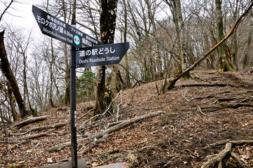 丹沢の甲相国境尾根　菰釣山のブナ沢乗越の峠
