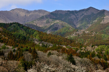 Naklejka premium 道志山塊 今倉山と平沢ノ頭 