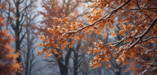 Snowflakes gently falling on autumnal tree branches , leaves, branch