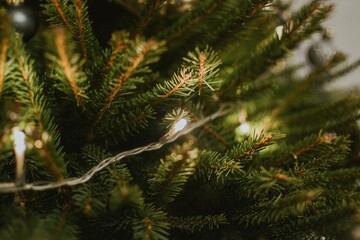 Lights from garland on christmas green tree close up for holiday decoration