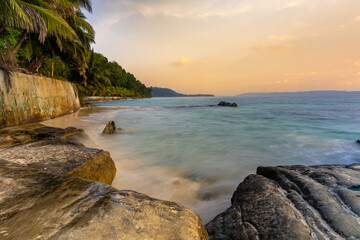 pristine rocky sea shore with palm tree and bright sunset orange sky at morning from flat angle