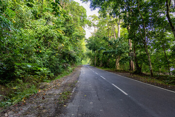 Obraz premium isolated tarmac road leading to lush green forests at morning from flat angle