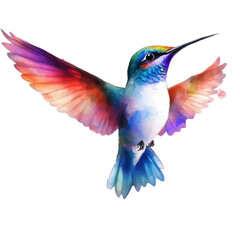 Fototapeta premium Hummingbird illustration with bold colors and flowing wing patterns, painted in watercolor, isolated in PNG transparent background
