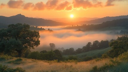 Sunrise over Misty Valley Landscape with Golden Hues