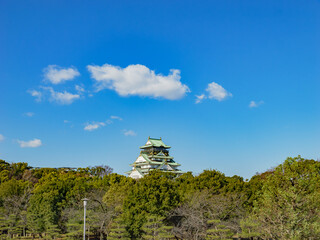 Fototapeta premium 青空の下の大阪城 歴史