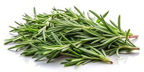 Fototapeta premium Fresh rosemary leaves scattered on a white background with a subtle texture, showcasing their intricate details and aromatic properties , botanical, foliage