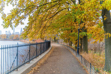 Naklejka premium path in central park new york