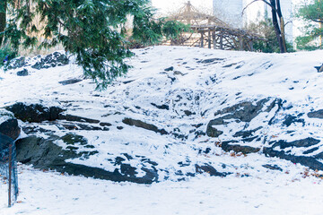snow covered trees in winter