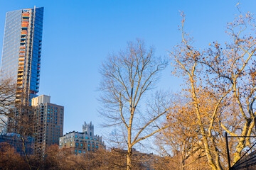building in the park in New York City