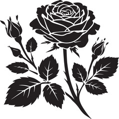 Black and white rose vector