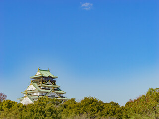 青空の下の大阪城　歴史