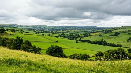 Fototapeta premium Tranquil landscapes of rolling hills countryside nature photography overcast sky panoramic view serenity