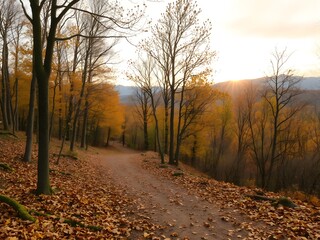 Fall scene multi colored leaves on path