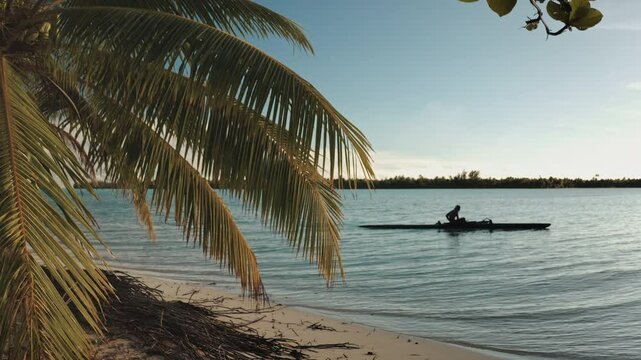 Palm trees frame a Polynesian fisherman paddling a traditional va'a outrigger canoe at sunset in the tranquil lagoon of Maupiti, French Polynesia. Remote wild nature paradise, exotic summer travel