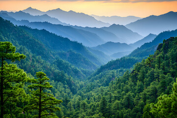 Fototapeta premium Majestic sunset view of layered mountains, lush green pine forests, vibrant colors, serene landscape.