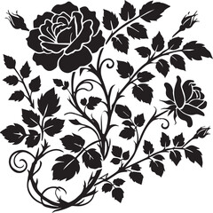 Black and white rose