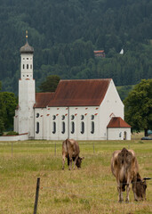 church with cows