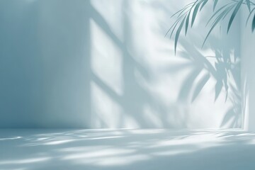 Serene minimalist studio backdrop with soft light, shadows, and tropical plant leaves.
