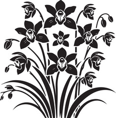 Black and white flowers